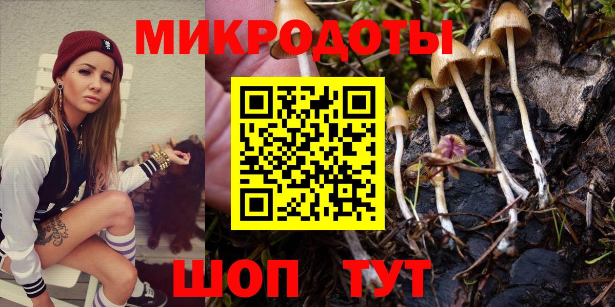 Нижнеудинск  Псилоцибиновые грибы Psilocybine cubensis  Вход с VPN 