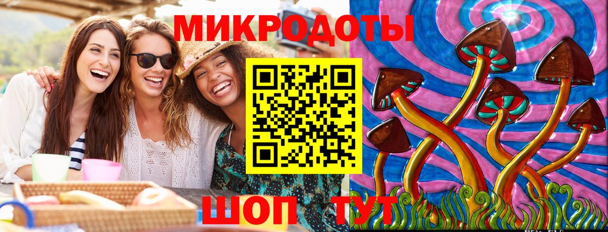 Псилоцибиновые грибы Cubensis Нижнеудинск
