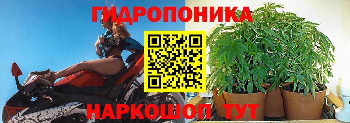 Конопля гибрид Нижнеудинск